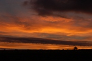 Bodmin Moor (Alturnun). - PID:29177