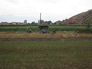 A view of the site

Photo copyright University of Cincinnati

Site in  Albania

