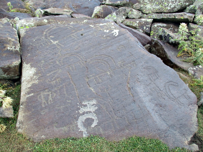 Rock with a great variety of petroglyphs.  September 2016