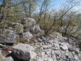 Zvonigrad - fortification wall