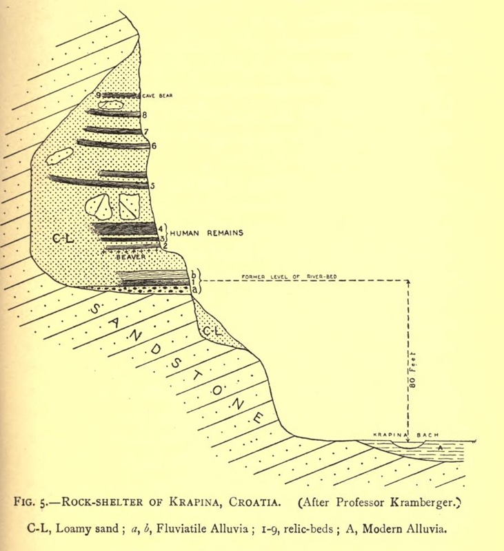 Cross-section of the cave, from 
