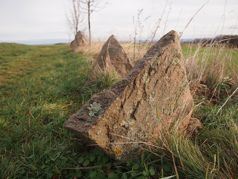 Bylany stone row