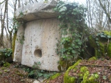 Azantskiy Dolmen - PID:142345