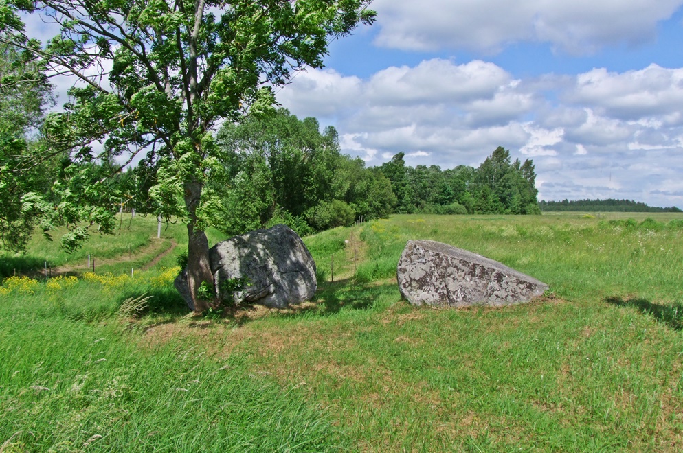 The first sight you get of the stones, as seen from the information board.  Please observe the natural flat surface of one of the stones.  June 2014.