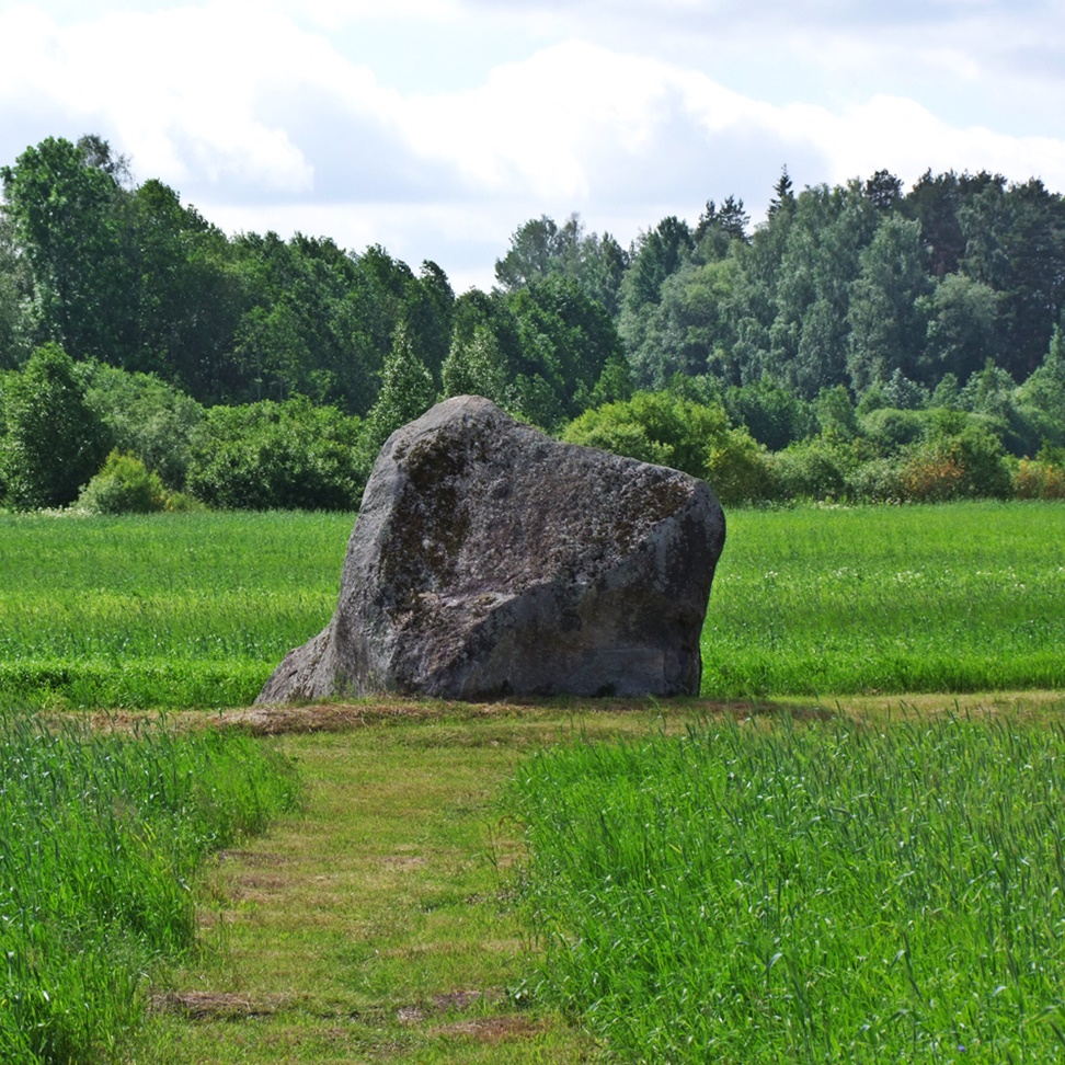 Approaching Meļķitāru Muldas akmens, humbly, respectfully, in silence.  June 2014.