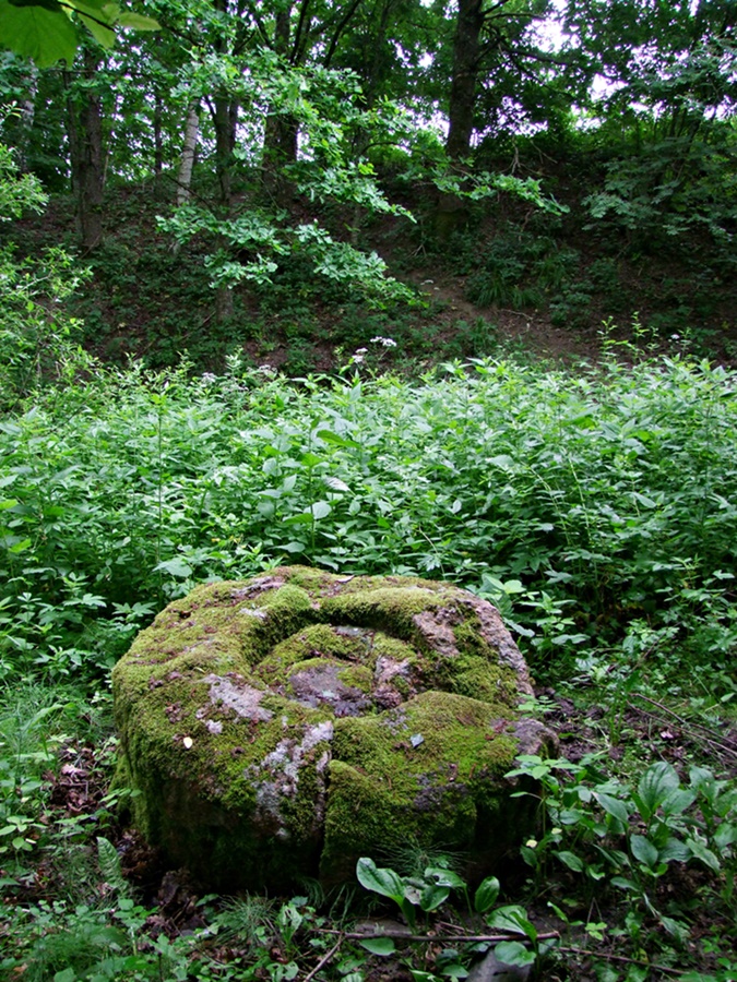 The cup-stone under another angle.  In the background, the edge of the wood and the slippery footpath, both mentioned in the description.  The stone is not visible from the footpath, being hidden by vegetation.  June 2014.

