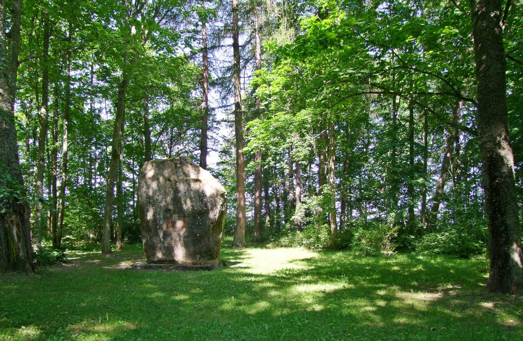 General view of the clearing.  June 2015.

