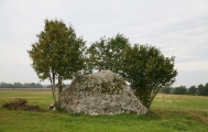 Vandzenes akmens (Stone of Vandzene) - PID:135356