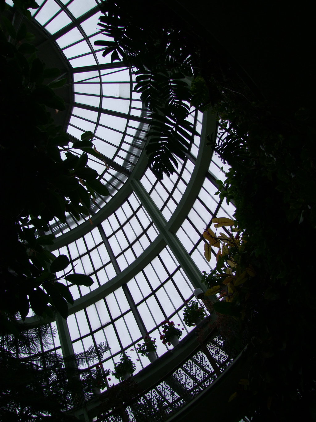 Inside the cafeteria.  Sure, it doesn't beat Kew Gardens, but it is still a must for any visitor of Kurzeme (Courland).  The Duchy of Courland spread over the Western parts of today's Lithuania and Latvia.  Photo taken on an overcast day in June 2015. 

