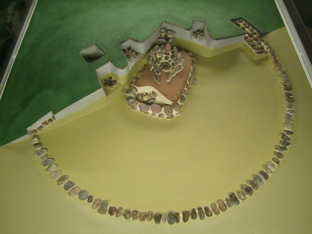 Scaled reconstitution of a settlement.

