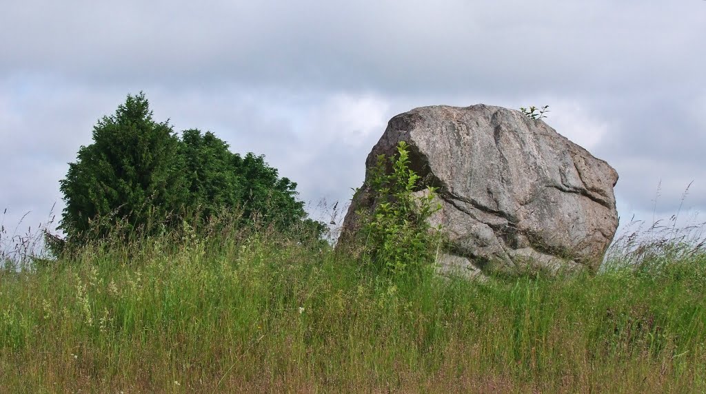 Random boulder, a now disused landmark along a track which, with time, became the road 102 towards Vilnius.  June 2015.

