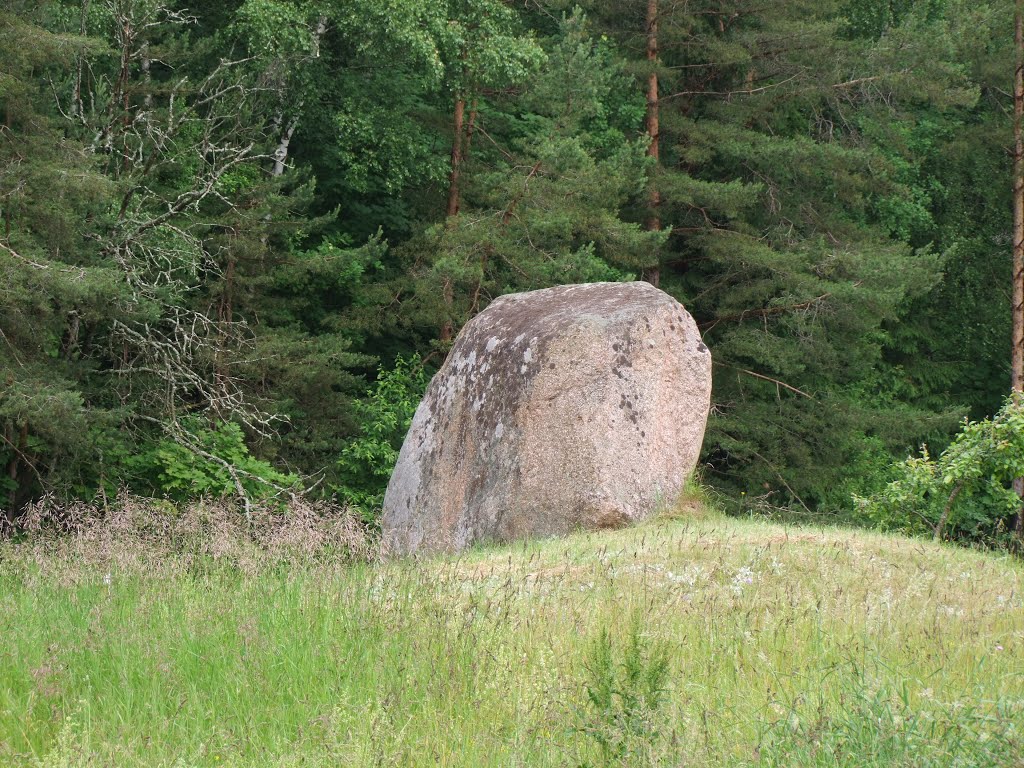 Erratic boulder along Road 102, which links the thinly populated North-Eastern part of Lithuania to the capital Vilnius.  June 2015.
