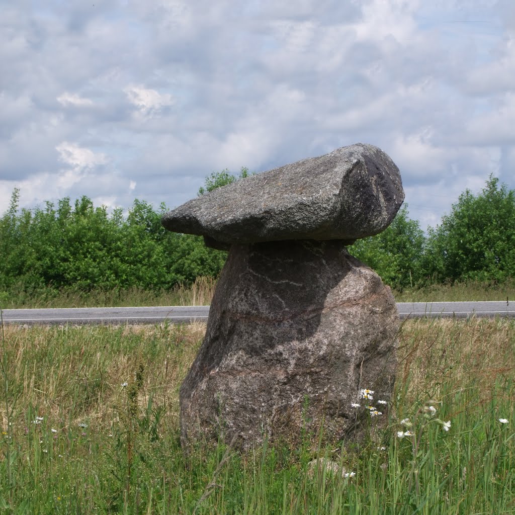 Not mentioned anywhere ; seen by chance while driving towards Vilnius.  June 2015. 
