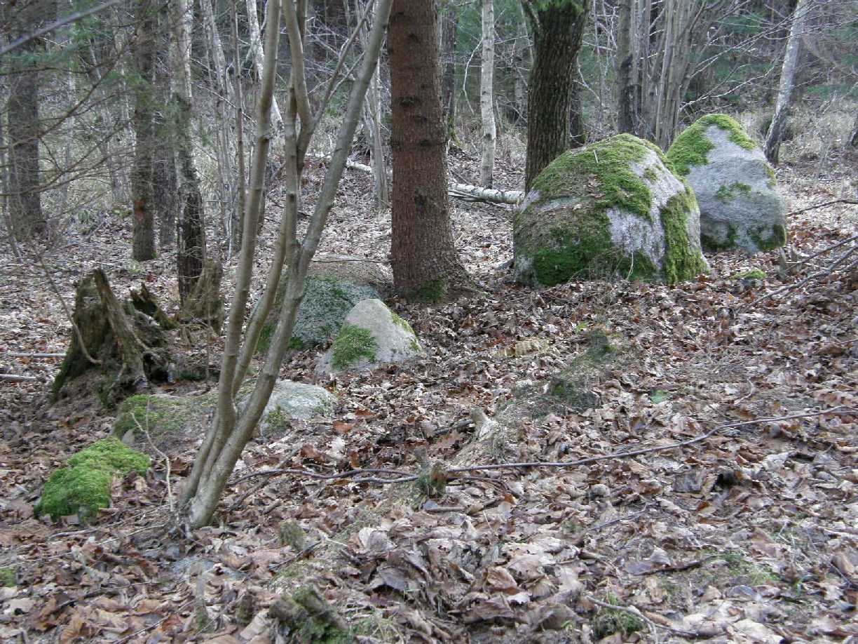 Site in Poland. 
Alignment with posible cup holes.