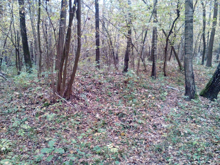 Two burial mounds at 51.189907, 22.808962 (photo taken on October 2018).
