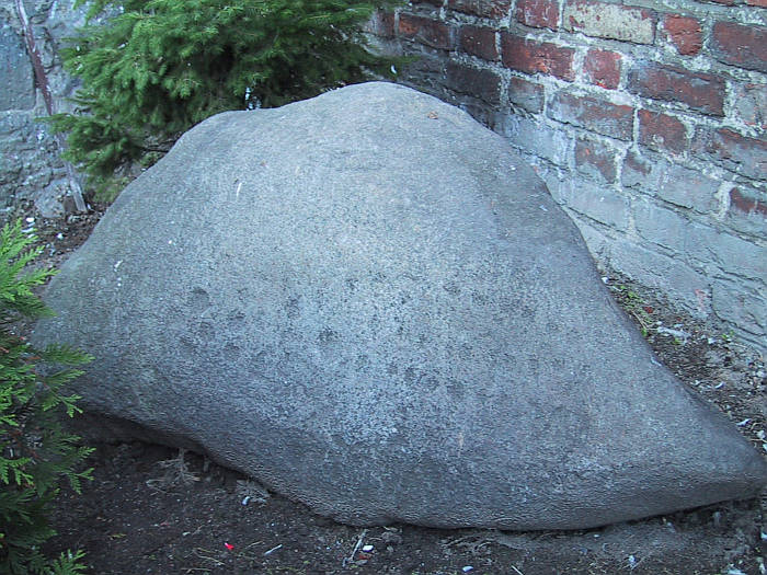 this stone is strange shaped an carries a  pattern of dotted lines

