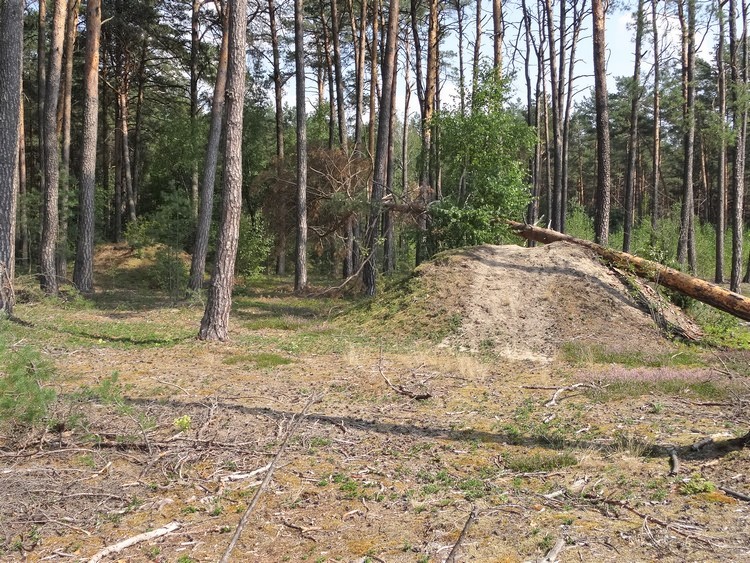 Barrows 3 (right) and 4 (left, in the background) seen from the N-NW (photo taken on August 2018).