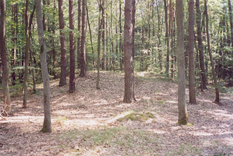 The better preserved out of the two round barrows north-west from Oborniki Śląskie (photo taken in 2004).
