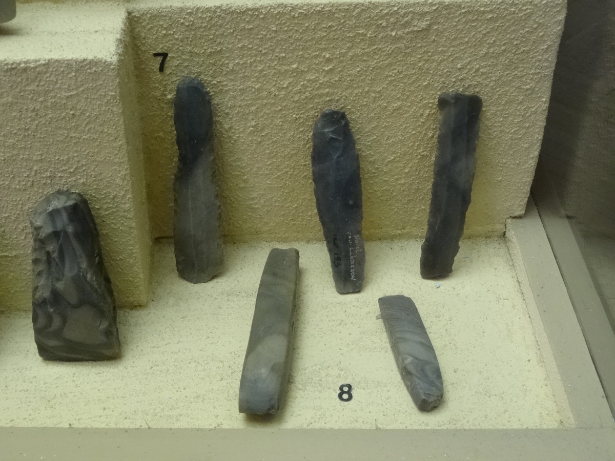 Stone tools of Funnel Beaker (7) and Globular Amphora (8) cultures from various sites in SE Poland, including Husów, Albigowa, Narol and Bieliny (photo taken on August 2019).