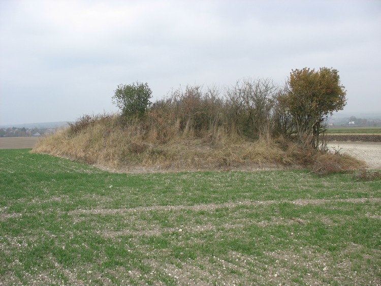Kurhan near Depułtycze Stare seen from the SE (photo taken on October 2018).