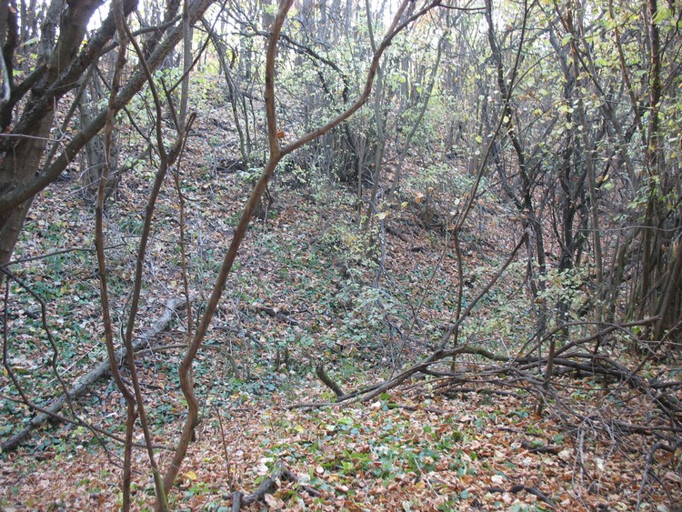 A massive inner rampart in the northern part of the hillfort (photo taken on October 2018).