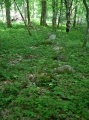 Borki Stone Circle (1) - PID:162318