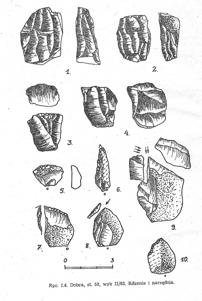 Sketch of some of the microlithic tools found during the excavation.