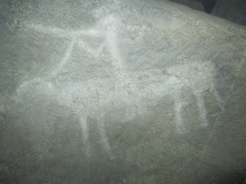 Copy of a petroglyph at Tawi.  There are display boards covering a lot of information about local Omani rock art. April 2014.
