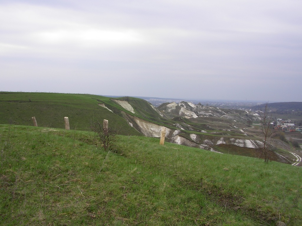 Hillfort Krapivinskoe