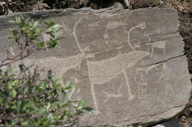 Petroglyphs of Pegtymel River