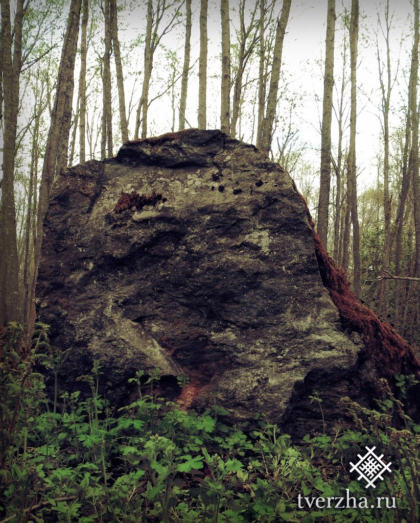 Rudа́evskoe stone nest