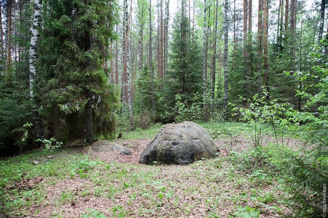 Site in  Russia

