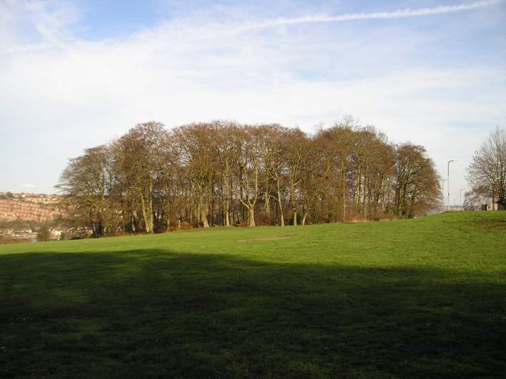 Desborough Castle, High Wycombe, Buckinghamshire. 

View of the main central section in the wooded area, seen here from the west. 

Remnants of the really old settlement earthworks can be made out in the grassy foreground.