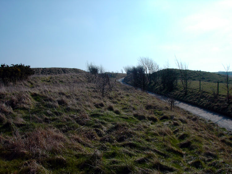 The highest chalk hill in Britain is capped by Walbury Hillfort, the largest one in Berkshire. It encloses 33 hectares, is trapezoidal with a single bank and ditch and it has two entrances.  Incredible views.  Car park adjacent and reached by minor roads from Inkpen to Combe Hill.