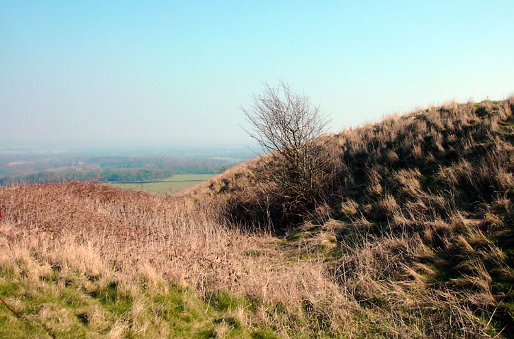  Walbury Hillfort is the largest one in Berkshire. 