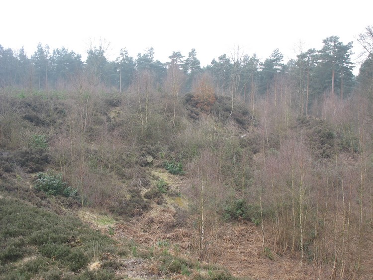 Another angle of the ramparts, this time in western part of the hillfort (photo taken on March 2011).