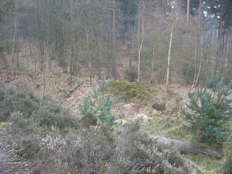 View from the rampart in southern sector of the hillfort - ditch and outer bank are in good condition (March 2011).