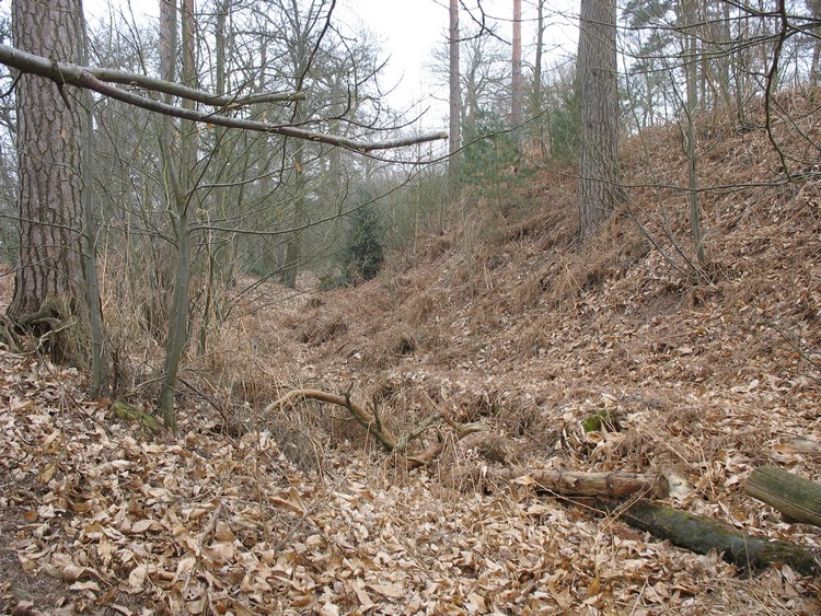 Rampart and a ditch in NW part of the hillfort (phto taken on March 2011).