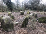 Whiteknights Stones - PID:270432