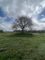 Lambourn Seven Barrows - PID:257453