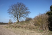 Melbourn Long Barrow - PID:130821