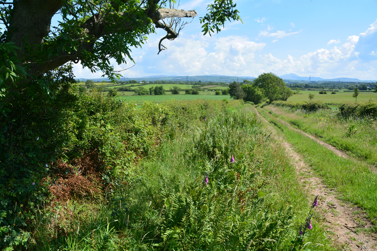 Looking down the track, which has a junction with the B5302.  The well is located next to the tree down the track, in the distance, just above centre, right hand third of photograph.  Lovely views. 