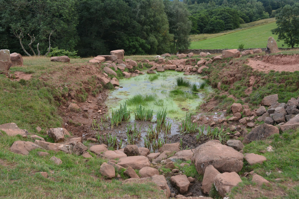 Chapel Well (Staffield)