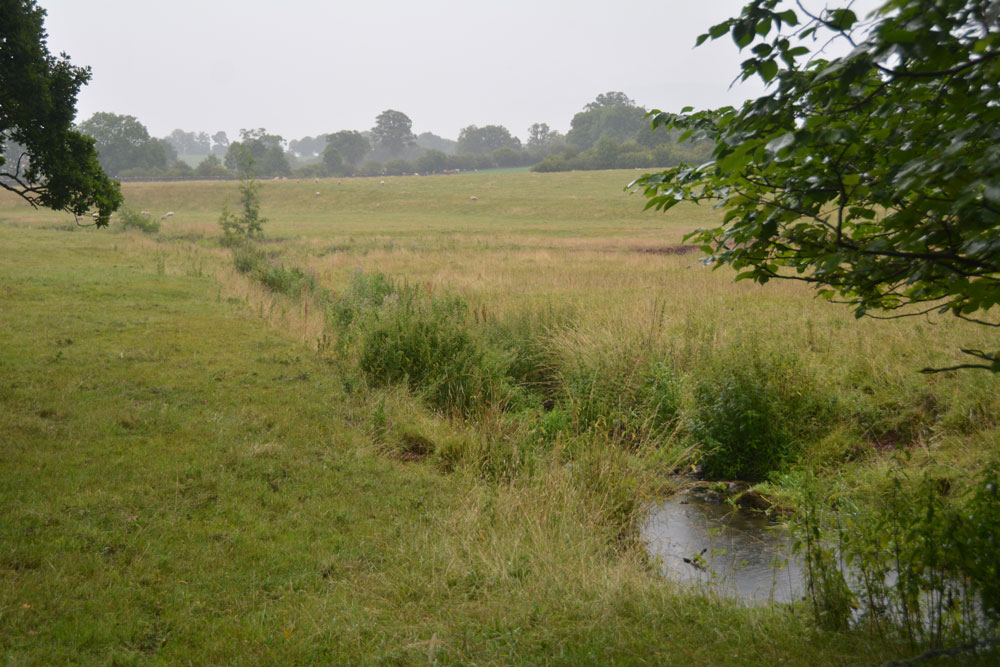 The waters of a small stream and the water from the well join at the northern end of the well pool, then run into the Morland Beck just to the north east.