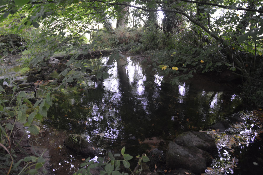 The well pool is clear and inviting.  Parts of it, particularly under the tree to the right hand side of the photograph, look deep, but the stones at the bottom of the pool can be clearly seen. A little overgrown, and in the sunshine would be a lovely spot. 