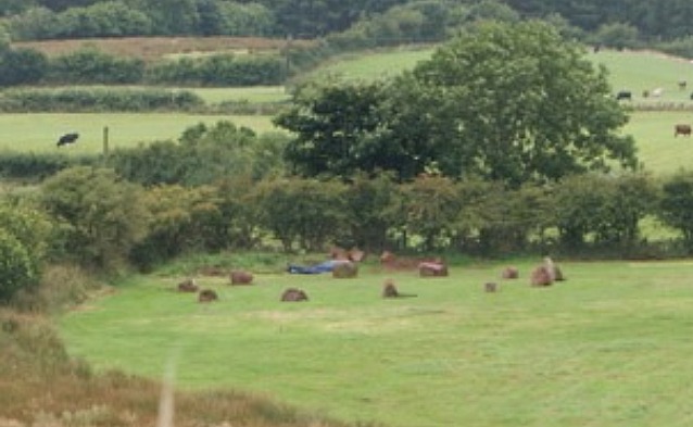 The reconstructed stone circle

Image copyright Terence Meaden