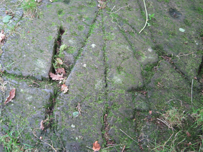 Lines (of uncertain origin?) and cup marks on the rocky outcrop by the car park.  September 2013.