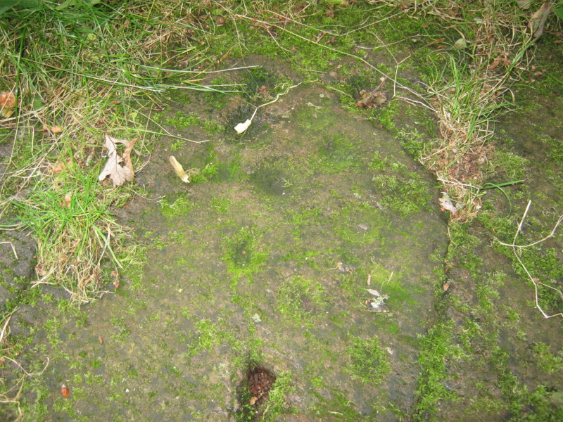 Some of the cup marks.  September 2013