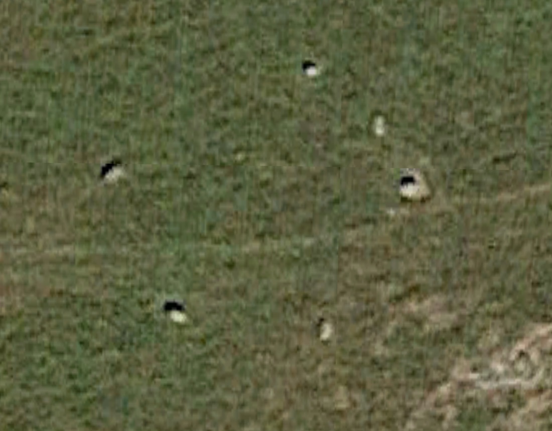 Here is some very rough Google Earth imagery showing the current position of the stones at Lacra B.