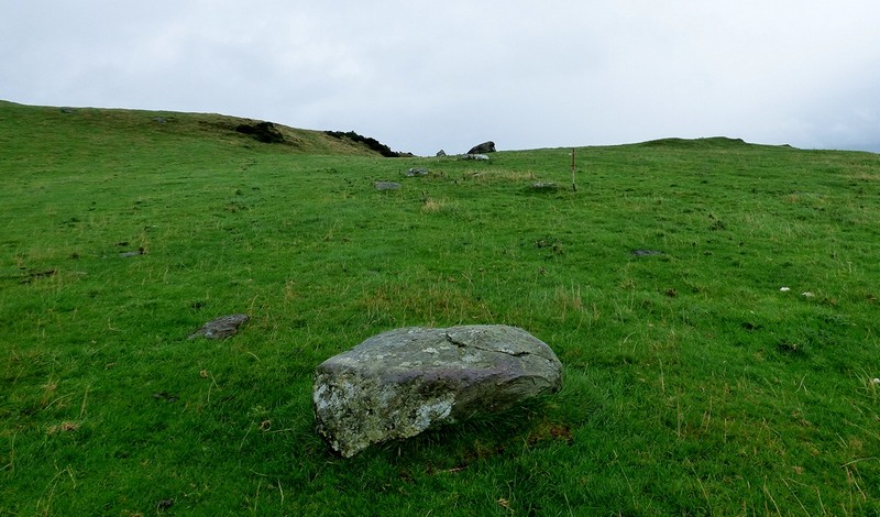 View from the stone looking north eastward along the row. The stone in the foreground forms part of the stone circle (Scale 1m).